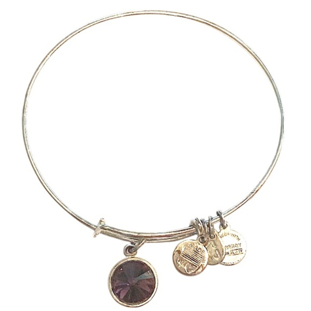 Alex and Ani Gold Bracelet with Amethyst Charm - Picture 2 of 2